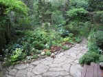 david thomas back garden