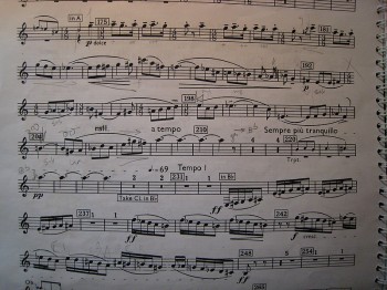 Bartok Concert for orchestra, clarinet part Mvt 1