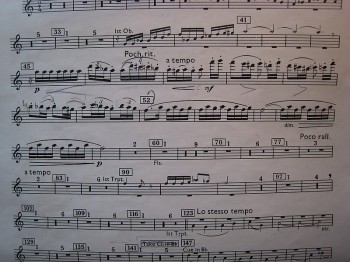Bartok Concerto for Orchestra Movt. 2