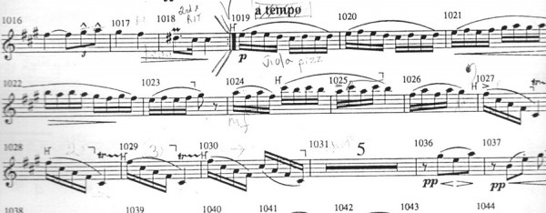 Brahms Schoenberg clarinet 7