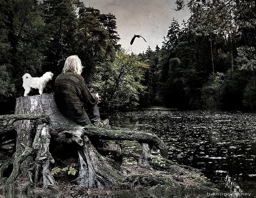 tempering_nature_vision well tempered musician
