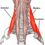 Breathing naturally comes naturally – David H Thomas – Clarinet ...